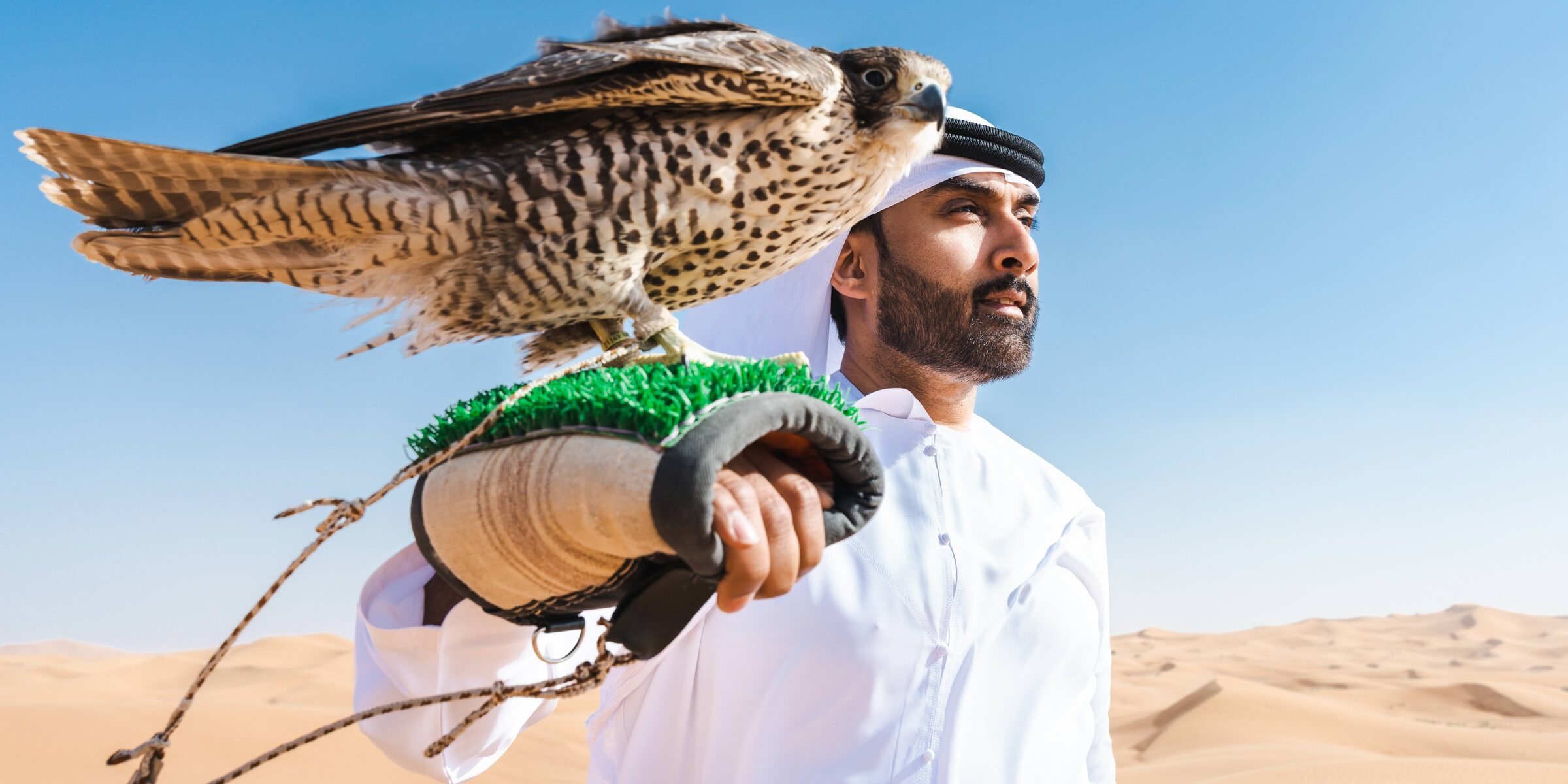 An Emirati falconer in the desert, a falcon on his gloved hand