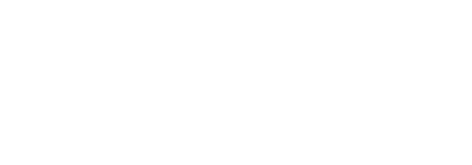 PHOENIX GLOBAL